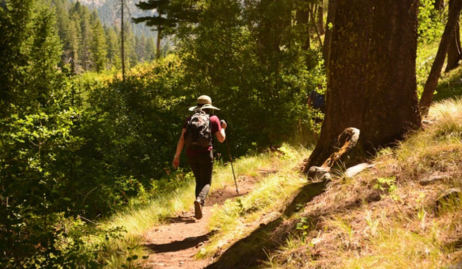Take a Hike and Experience the Trail of Your Life